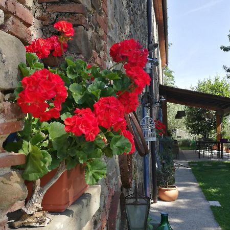 Agriturismo Tananei Marliana Esterno foto