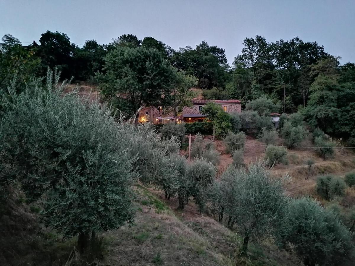 Agriturismo Tananei Marliana Esterno foto