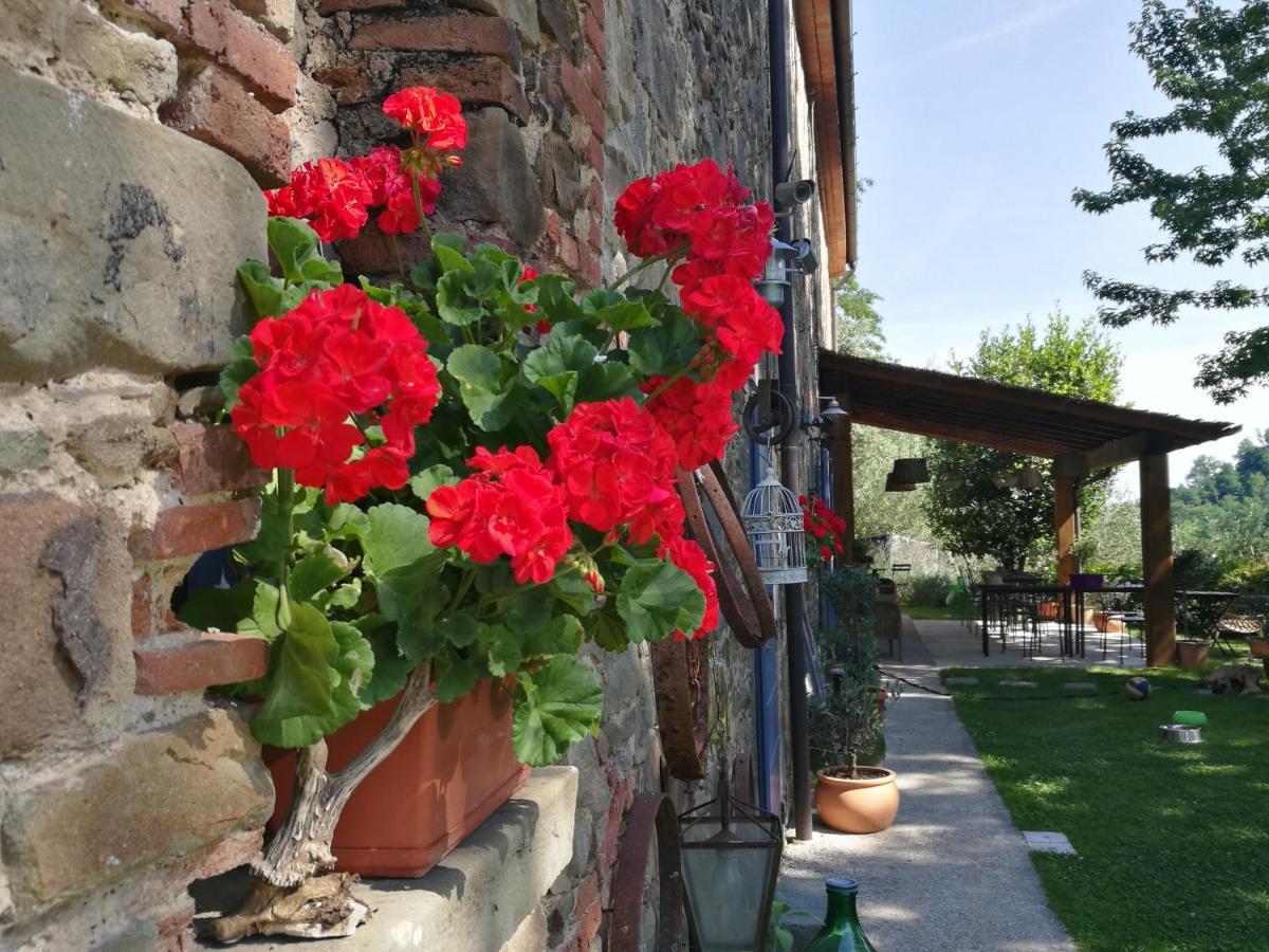 Agriturismo Tananei Marliana Esterno foto