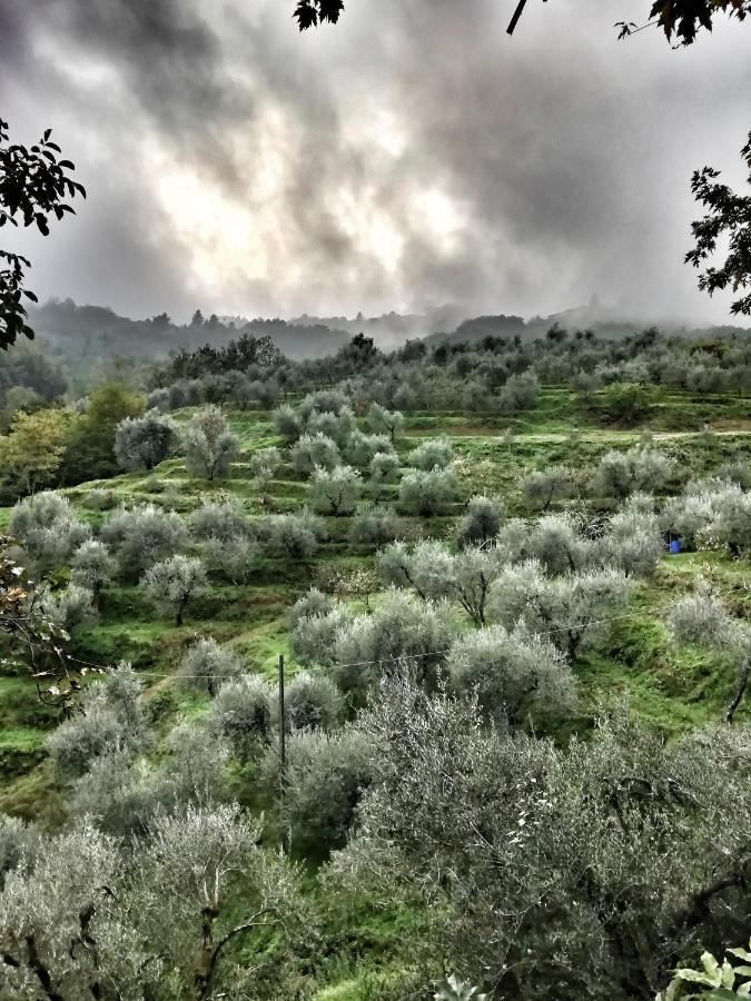 Agriturismo Tananei Marliana Esterno foto